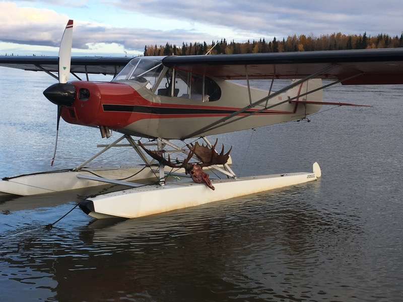 Moose Hunt Rates Moose Hunt Rates